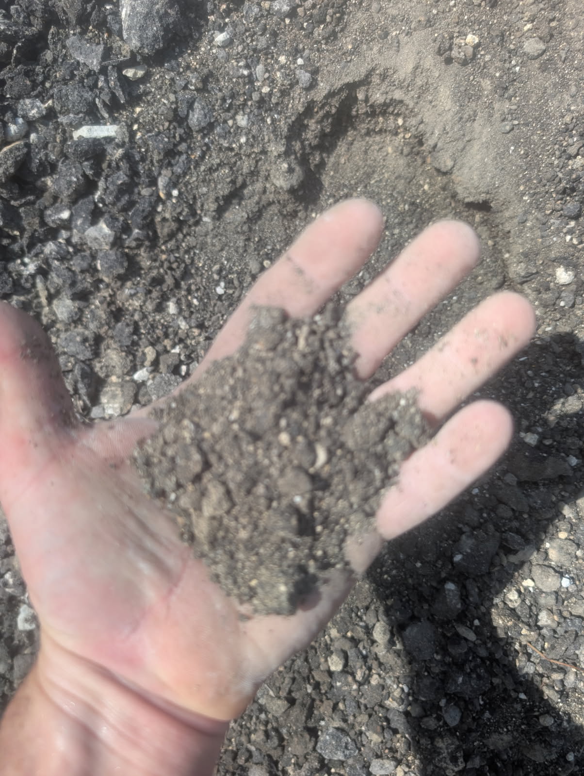 Screened asphalt millings