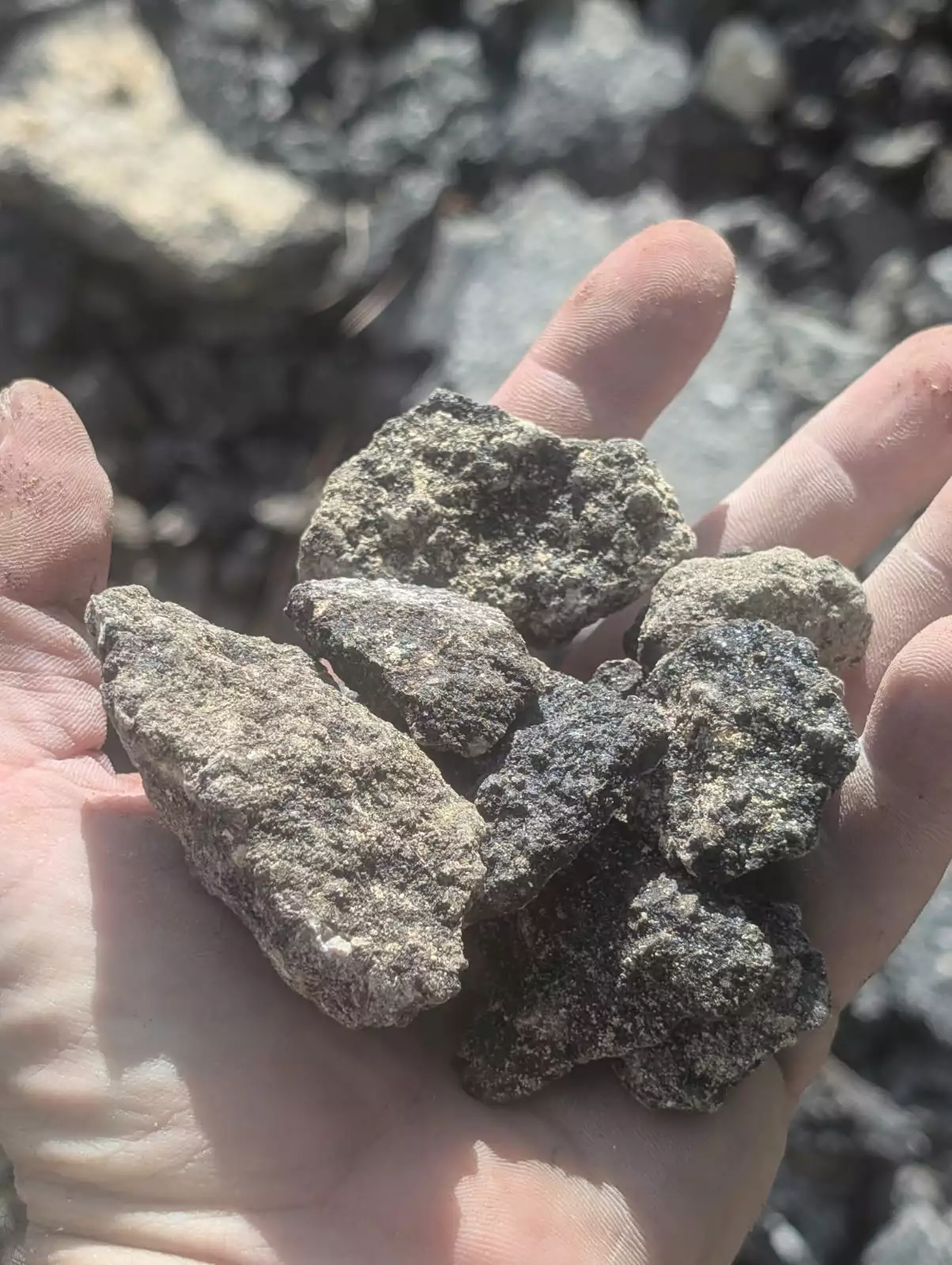 Asphalt millings