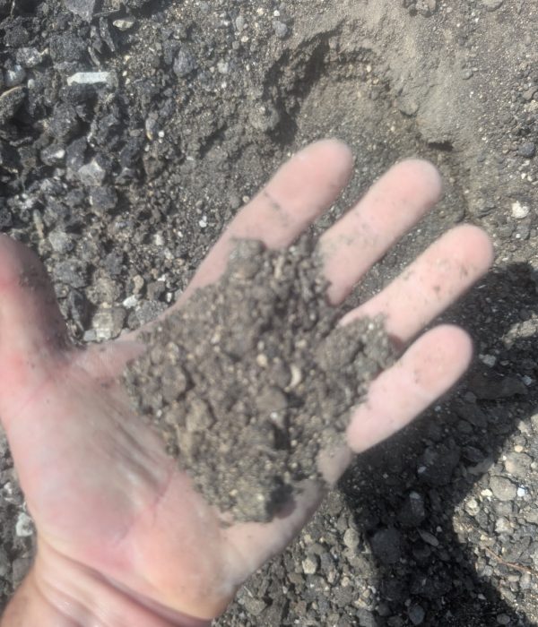 Screened asphalt millings