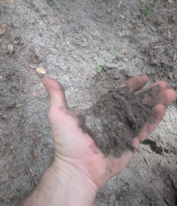 Screened top soil